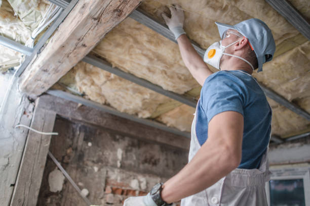 Best Insulation Repair Services  in Dillonvale, OH
