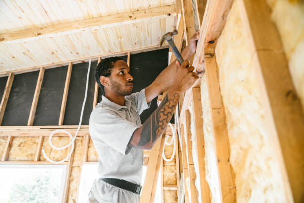 Insulation Inspection Services in Dillonvale, OH